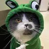 Kedi Kostümleri Komik Köpek Hoddie Frog Kediler Kazak Giyim Evcil Hayvan Katlar Kulaklarla Yeşil Sıcak Ceket Küçük Evcil Hayvanlar İçin