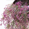 Dekorativa blommor 1st Fake Artificial Flower Hanging Garland Plants Ivy Vine Wedding Party Home Decor Simulation Plant Decoration Supplies