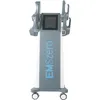 Andra artiklar DLS-EMSZERO NEO MUSLE SCULPTING MASSAGE Equipment Fat Burning 4Handles With Pelvic Pads Beauty Machine