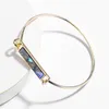 Bangle 2023 Winter Arrived Elegant Lady Polished Strip Inlay Abalone Resin Druzy For Women Fashion Jewelry Wrist Accessories