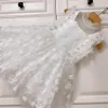 فتيات رضيع فستان أطفال فستان الأميرة بلا أكيام