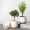 Planters Pots 1 Pc Succulent Plant Pot DoubleLayer Green Dill Small Green Plant FlowerPot Garden Planters Flower Pot Vase For Cactus plants 230327