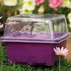 Planters Germination Plant Tray Transparent Lid Grow Flower Box Propagation