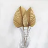 Flores decorativas 5pcs seca folhas de fãs de quarto decoração de casa boho look wedding decoração ao ar livre arco de planta artificial