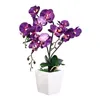 Decorative Flowers Artificial Butterfly Phalaenops Bonsai Aesthetic Fake Plant Silk Flower Branch With Ceramic Vase For Home Wedding