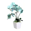 Decorative Flowers Artificial Butterfly Phalaenops Bonsai Aesthetic Fake Plant Silk Flower Branch With Ceramic Vase For Home Wedding