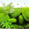 Dekorativa blommor 6st Artificial Green Moss Ball Fake Stone Simulation Plant Diy Decoration For Shop Window El Home Office Wall Decor