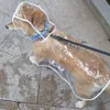 Abbigliamento per cani Bulldog francese Impermeabile trasparente Abbigliamento per cani per cani di piccola taglia Abbigliamento Chihuahua Felpe con cappuccio impermeabili Accessori per cani PC1570 230327