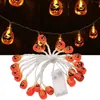 Party Decoration Go Halloween Decorative Pumpkin String Lights Led Battery Powered Outdoor Decorations For Yards