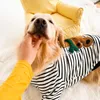 犬のアパレルソゾシーゴールデンレトリバー服秋の冬の厚い大きな大きなサモイドラブラドールハスキードッグドレス230327