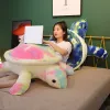 Torturas de tartaruga colorida brinquedos de pelúcia