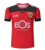 2023 GAA rugbyshirt Wilford Dublin Training MAYO KERRY DOWN Antrim IERLAND SLIGO LAOIS Kildare maat S-5XL T-shirt Alle teams