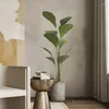 Dekorative Blumen Hohe Simulation Sumatra-Palme Indoor Wohnzimmer Boden Topf Dekoration Pflanze im nordischen Stil