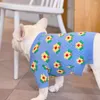 Dog Apparel Autumn e Winter Teddy Schnauzer Bichon Hiromi Francês lutando