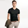 Heren t shirts moerbei zijde korte mouw 2023 t-shirt heren vaste kleur casual zomerbasis v-neck shirt mannen