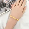 Bangle Gorgeous Gold eller Silver Color 6mm Bredd Flat Twist For Women Feminist Böhmen Classic Trendy Jewelry Arm Decoration