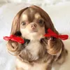 Katzenkostüme Haustier Perücken Cosplay Requisiten Dog Cross-Dressing Hair Set POFORY Witzige Kopfzubehör Streich Voraussetzungen