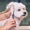 Уход за собаками 5pcsSet Нержавеющая сталь Pet Dogs Grooming Scissors Suit Парикмахерские ножницы для собак Professional Animal Barber Cutting Tools 230327