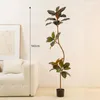 Decorative Flowers 120-180cm Nordic Style Artificial Rubber Tree Potted Plants Indoor Living Room Decoration Bonsai