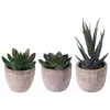 Decorative Flowers Artificial Succulent Plants Small Faux Succulents Succulants Potted