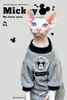 Cat Costumes 2023 Clothes For Sphinx Hairless Leisure Cartoon Pure Color Clothing Kitten Shirt Pet Supplier