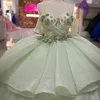 Sage Green Shiny Quinceanera Dress Ball Gown Off The Shoulder Appliques Lace 3DFlower Corset Vestidos De Quinceanera