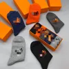 Letters Cotton Sock Men's Mid-Calf Length Sock Spring and Summer New Pure Color Trendy Gift Box Business Athletic Socks