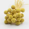 Dekorativa blommor kransar -försäljning 5st eucalyptus gyllene boll real bevarad torkad blomma för hem bokrummet bröllop juldekoration