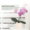 Decorative Flowers Phalaenopsis Orchids Leaves Artificial Real Looking Roots Latex Contact Plants Green Faux Leaf Arrangement 6