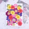 Fiori decorativi varietà natura pacchetto di mix di fiori pressati rosa eterna per segnalibro fai da te carta regalo inviti di nozze nail art viso