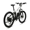 Commercio all'ingrosso 9-velocità Mountain Bike elettrica 48V / 750W motore del mozzo posteriore Off Road bici elettrica batteria al litio personalizzata 48V 9 velocità