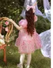 Flickans klänningar Rinilucia Summer Girls 'Dress Ball Gown Puff Sleeve Sweet Princess Dress Floral Barn Baby Kids Clothing for Girls