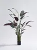 Fleurs décoratives Plante Artificielle Plume Arrowroot Faux Feuilles Pour Salon Décor Décoration Moderne