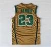 Irlandais St. Vincent Mary Jerseys High School Basketball LeBron James 23 Chemise College pour les fans de sport Université Respirant Cousu Équipe Vert Marron Blanc Hommes NCAA