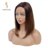 Lace Front Human Hair Wigs For Women Straight Brazilian Bob 14inches Sunlight Ombre Brown