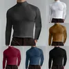 Mode Men's Casual Slim Fit Basic Turtleneck High Collar Pullover Male Autumn Spring Thin Tops Basic Bottoming Plain T-Shirt 2303294