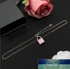 Luxury merkontwerper Hangers kettingen roestvrijstalen slot hanger ketting sieraden accessoires geschenken