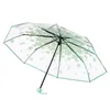 Umbrellas Umbrella Transparent Multicolor Clear Cherry Blossom Mushroom Apollo Sakura 3 Fold Creative Long-Handle