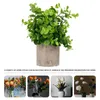 Decorative Flowers Fake Artificial Potted Faux Bonsai Green Ornament Mini Desktop Bucket Plastic Decor Indoor Decoration Adornment Imitation