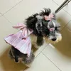 Abbigliamento per cani Vestiti per gatti domestici Vestito da cucciolo dolce con guinzaglio al guinzaglio Chihuahua Bichon Abiti di lusso Gonna carina per gatti piccoli 230329