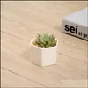 Jardinières Pots En Céramique Bonsaï En Gros Mini Blanc Porcelaine Pots De Fleurs Fournisseurs Pour L'ensemencement Succent Intérieur Maison Pépinière Drop Deli Dhzn1