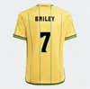 Maillots de football de la Jamaïque 2023 23 24 équipe nationale de football Bailey ANTONIO REID Nicholson LOWE MORRISON maillot à domicile 666