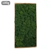 Flores decorativas 100g plantas de simulación vida eterna musgo jardín hogar Decoración pared DIY flor Material Mini Micro paisaje regalo falso