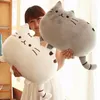 Plush Dolls 4030cm Kawaii Cat Pillow With Zipper Only Skin Without PP Cotton Biscuits Animal Doll Toys Big Cushion Cover Peluche Gift 230329