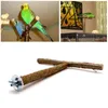 Other Bird Supplies Parrots Stand Bar Parrot Bite Chew Toys Swing Pet Rest Play Toy