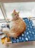 Cat Beds Off The Ground Cat's Nest Four Seasons Universal Easy Removable Bed Net Red Supplies Hammock Pet