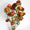 Декоративные цветы 1bouquet натуральный красочный ананас хризантемост