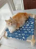 地面の猫のベッド猫の巣フォーシーズンズユニバーサルイージーリムーバブルベッドネットレッドサプライハンモックペット