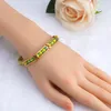G D Bangle 2023 Ankomst Rostfritt stål smycken Grön och gul färg Orula armband Mixpärlor unisex för kvinnor/män gåva reen ifft ift