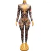 Stage Wear Fashion Rose Flower Print Pearl Rhinestones Jumpsuit Vintage Stretch Floral Leotard Performance Performance Costume Festival Clothing